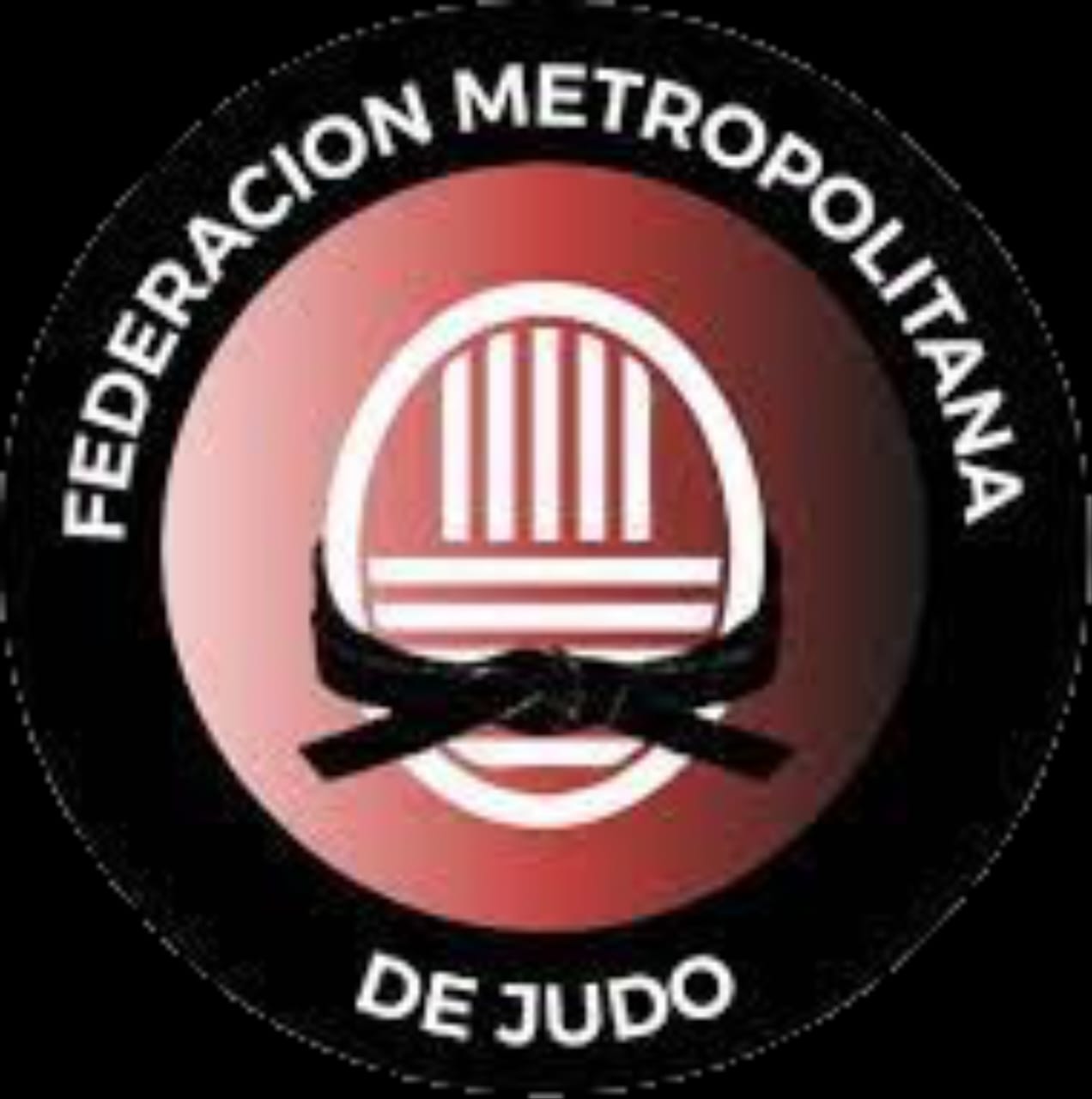 FMJ Logo
