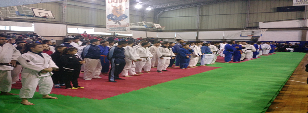 Competencias de Judo